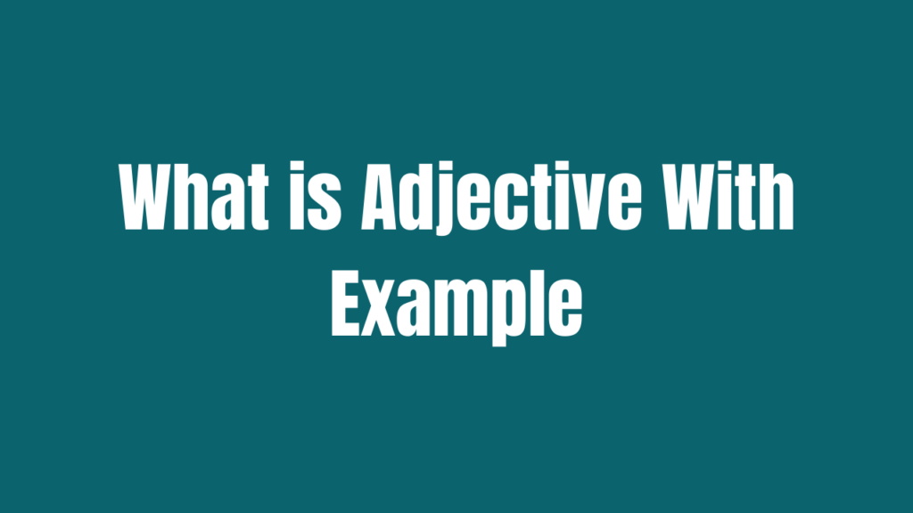 What is Adjective With Example » Top 2021 Example List